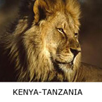 kenya-tanzaniaOFFER